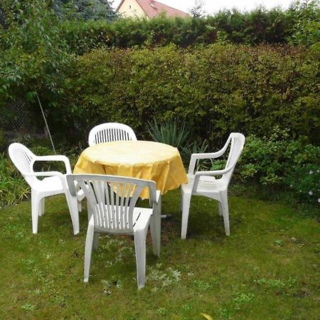 Ferienwohnung Winter Wittenberg Ngoại thất bức ảnh